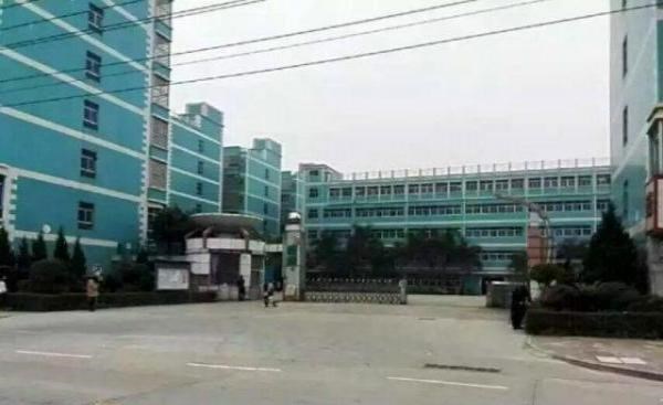 坪山高新科技園廠房招租（4萬(wàn)平方米)